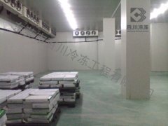 食品行業冷庫 (4)