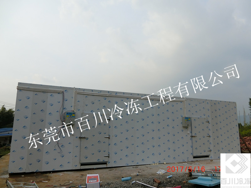英德沙口農場菌類冷藏庫