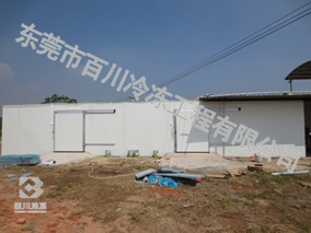 湛江農業公司蔬菜基地冷庫