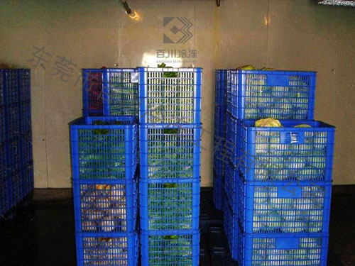 萬人工廠食堂果蔬冷庫BC-004